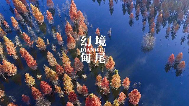 102岁老人骨折，要不要手术？